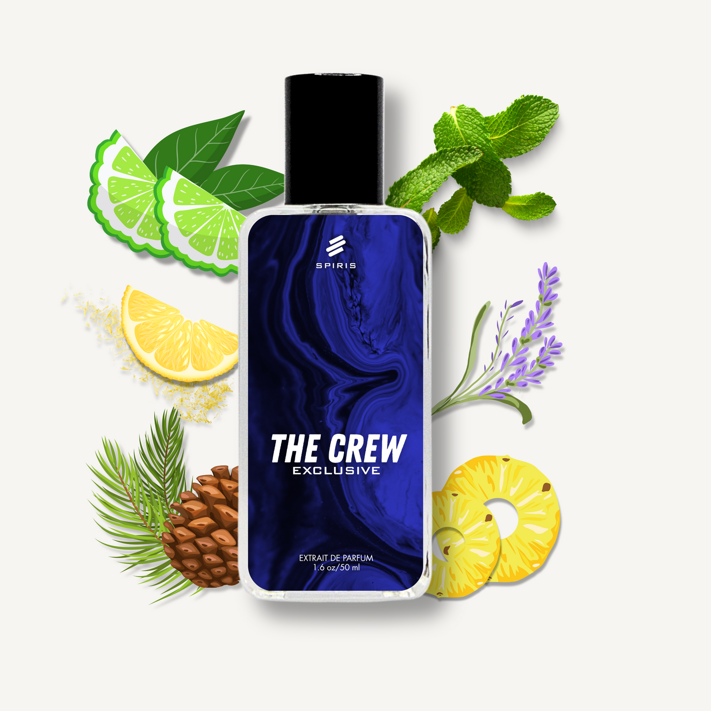THE CREW - Exclusive