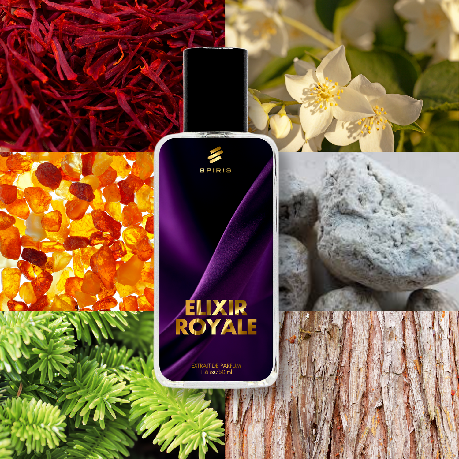 Unisex Fragrances