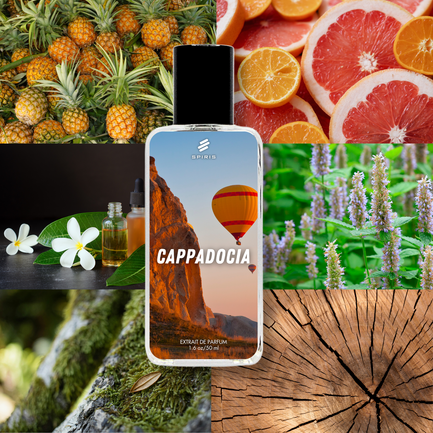 Premium Fragrances