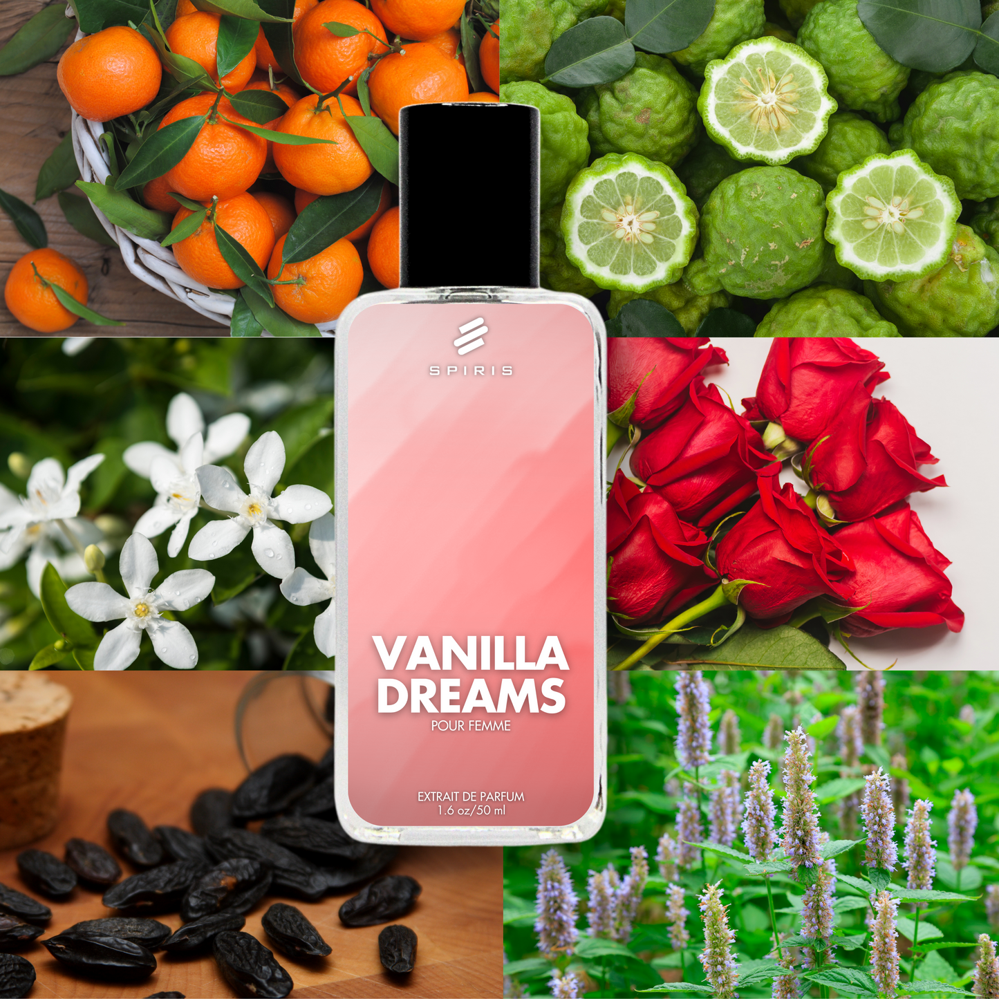 VANILLA DREAMS - Inspired by COCO Mademoiselle