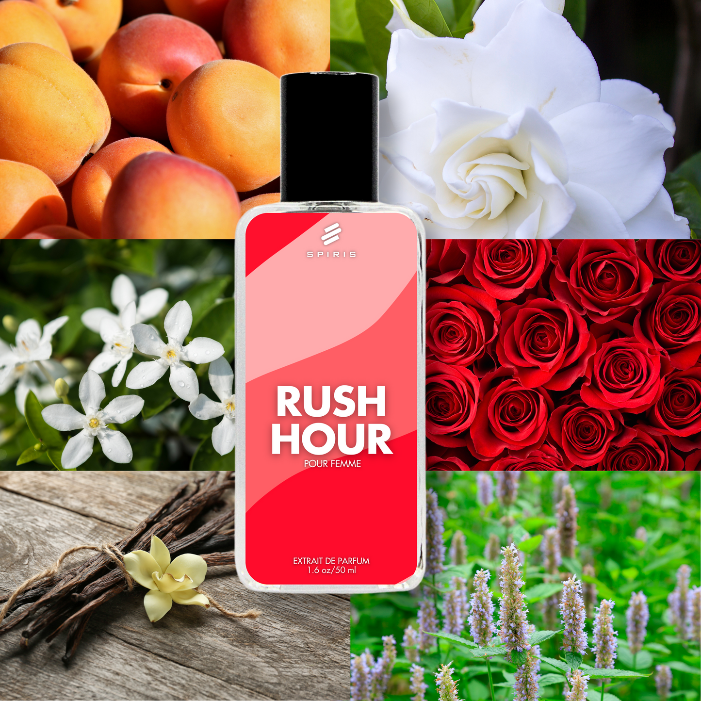 RUSH HOUR - Inspired by Gucci Rush