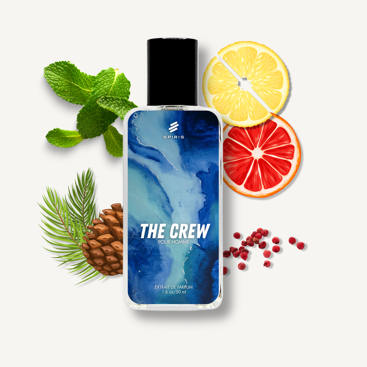 THE CREW - Inspired by BDC