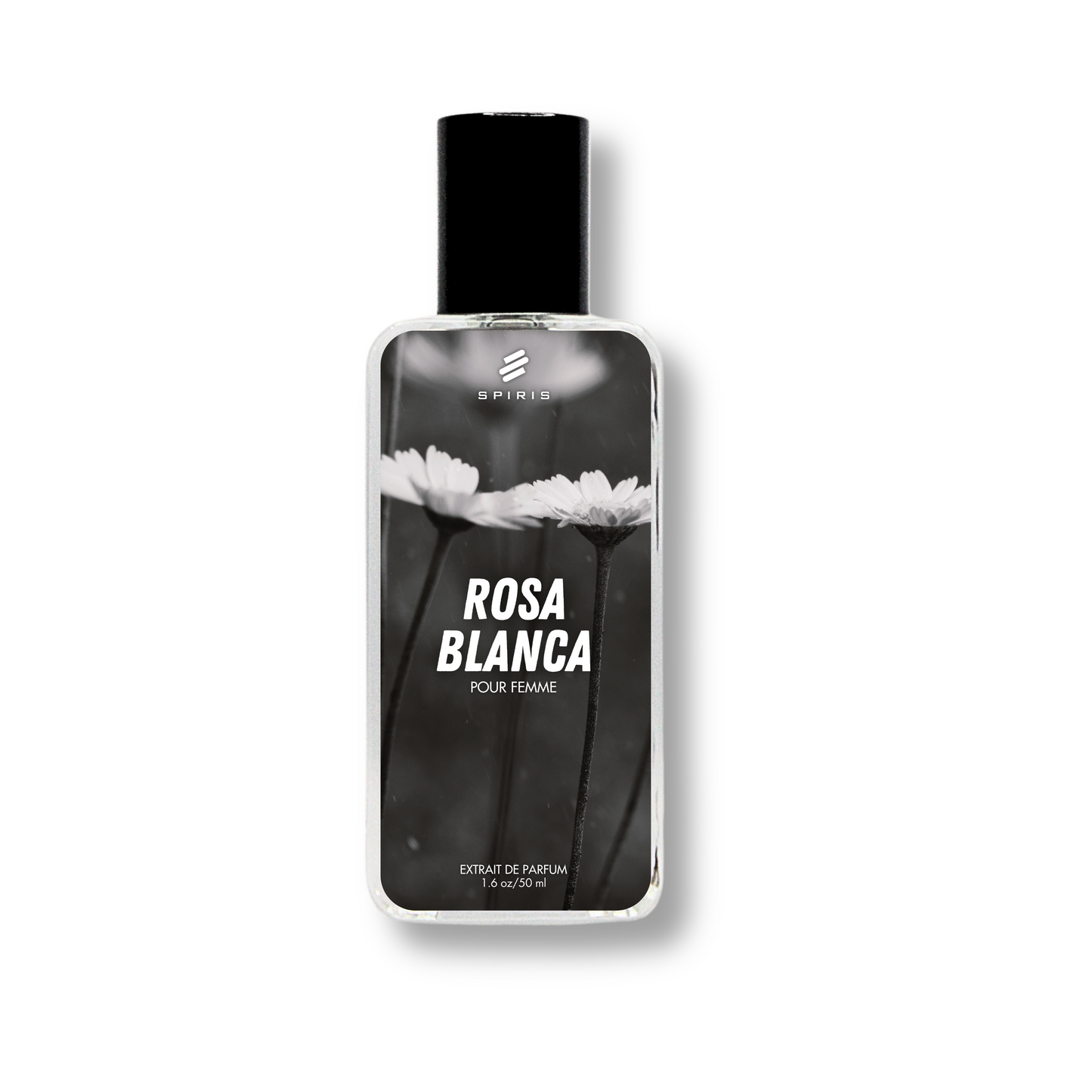 ROSA BLANCA