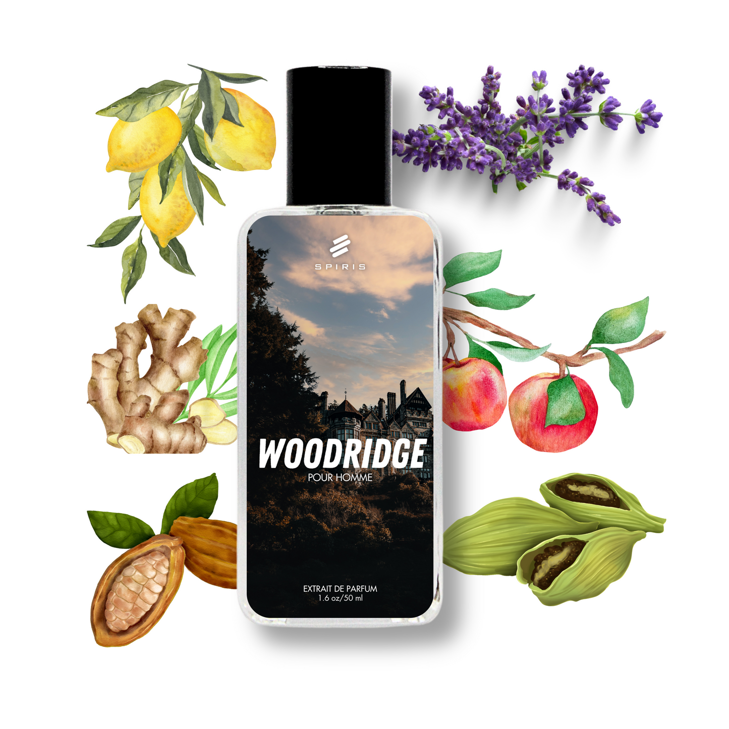 WOODRIDGE - Inspired by Azzaro Wanted