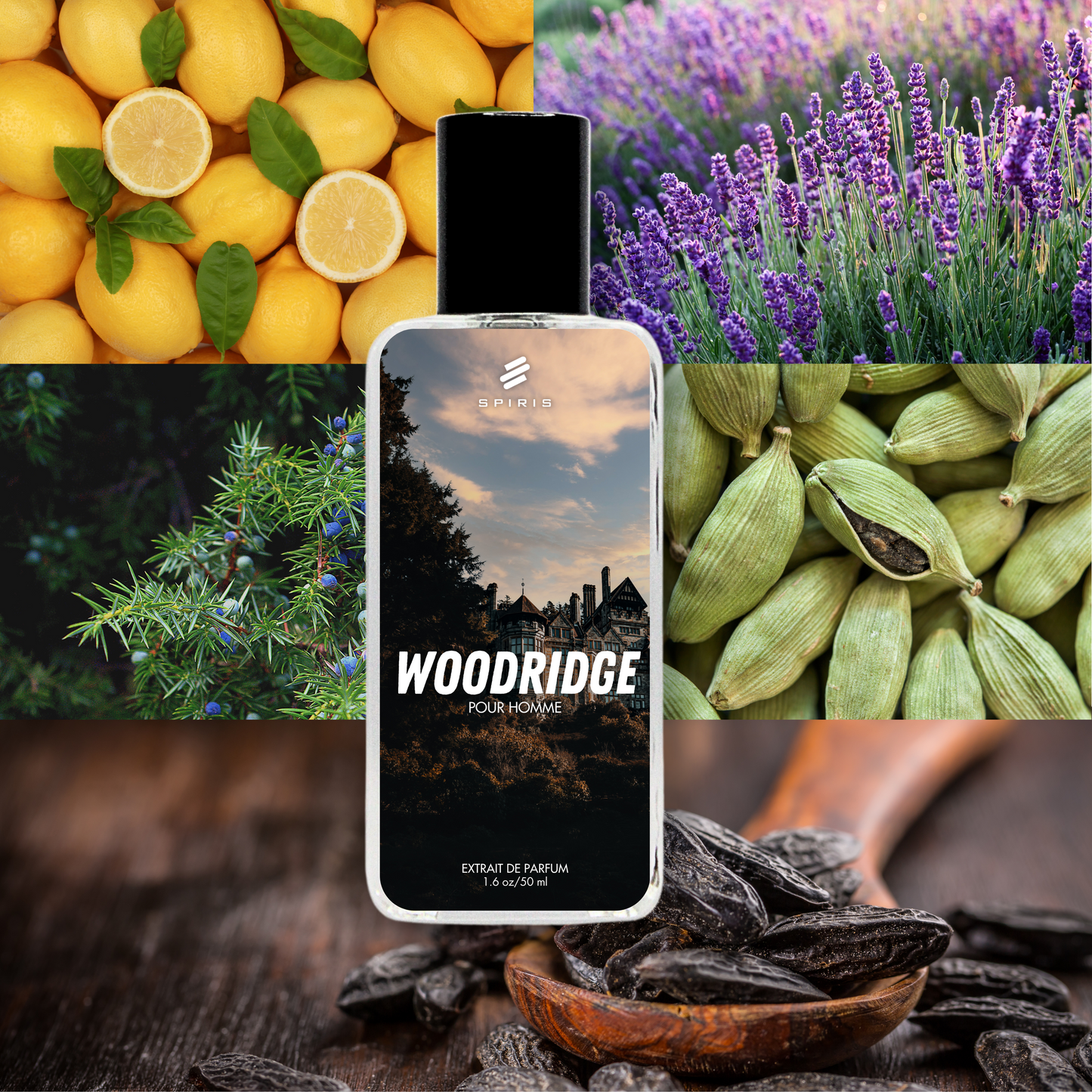 WOODRIDGE - Inspired by Azzaro Wanted
